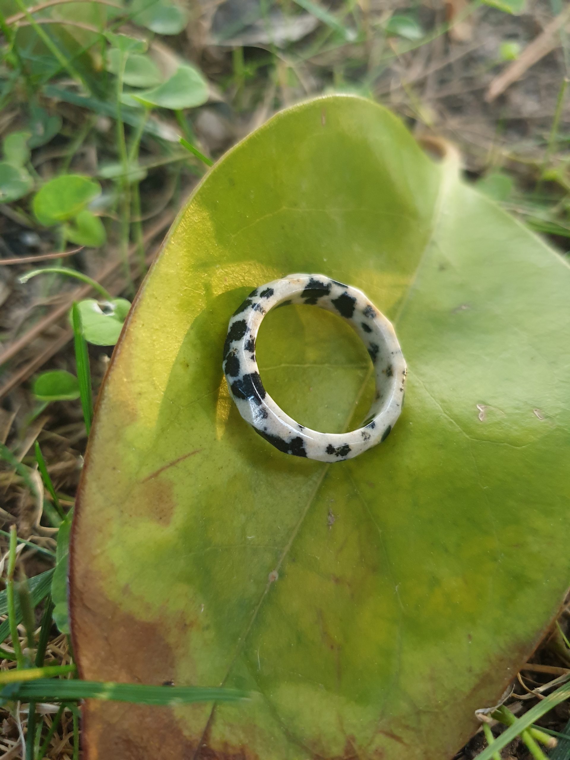 anillo jaspe dalmata
