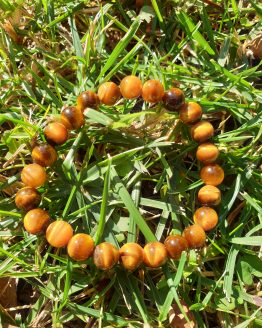 pulsera ojo de tigre 8mm