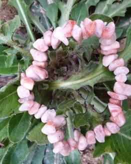 pulsera chip cuarzo fresa