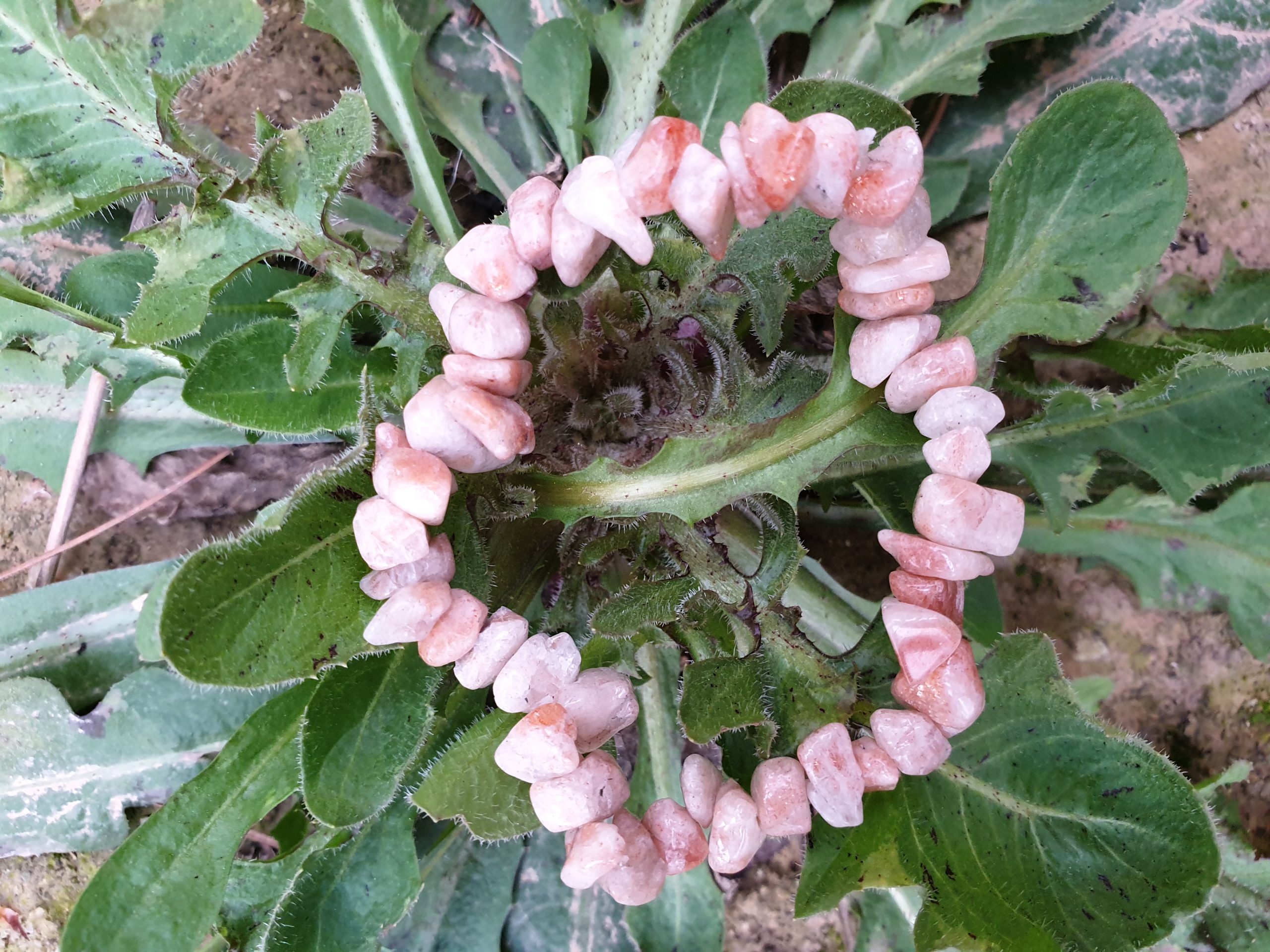 20200212_181418 pulsera chip cuarzo fresa